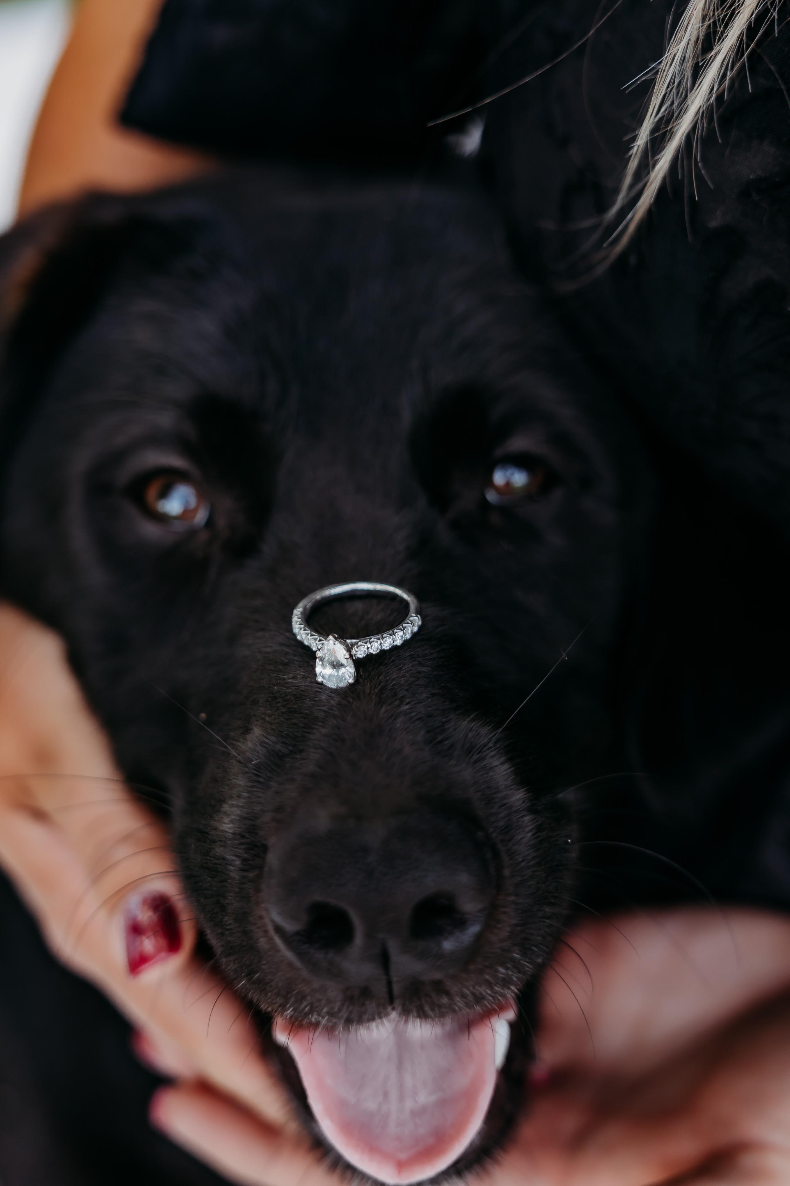 The Wedding Website of Alexandria Cramer and Ryan Mills