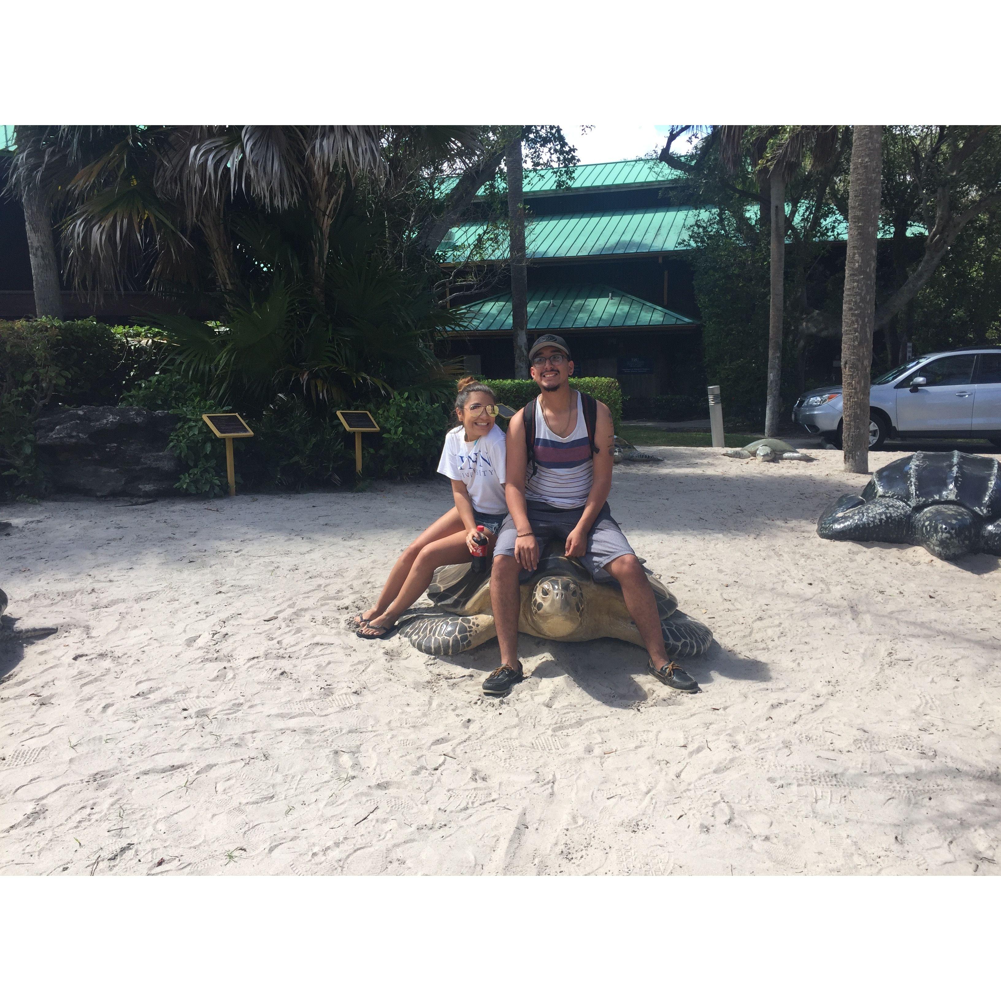 Florida 2016