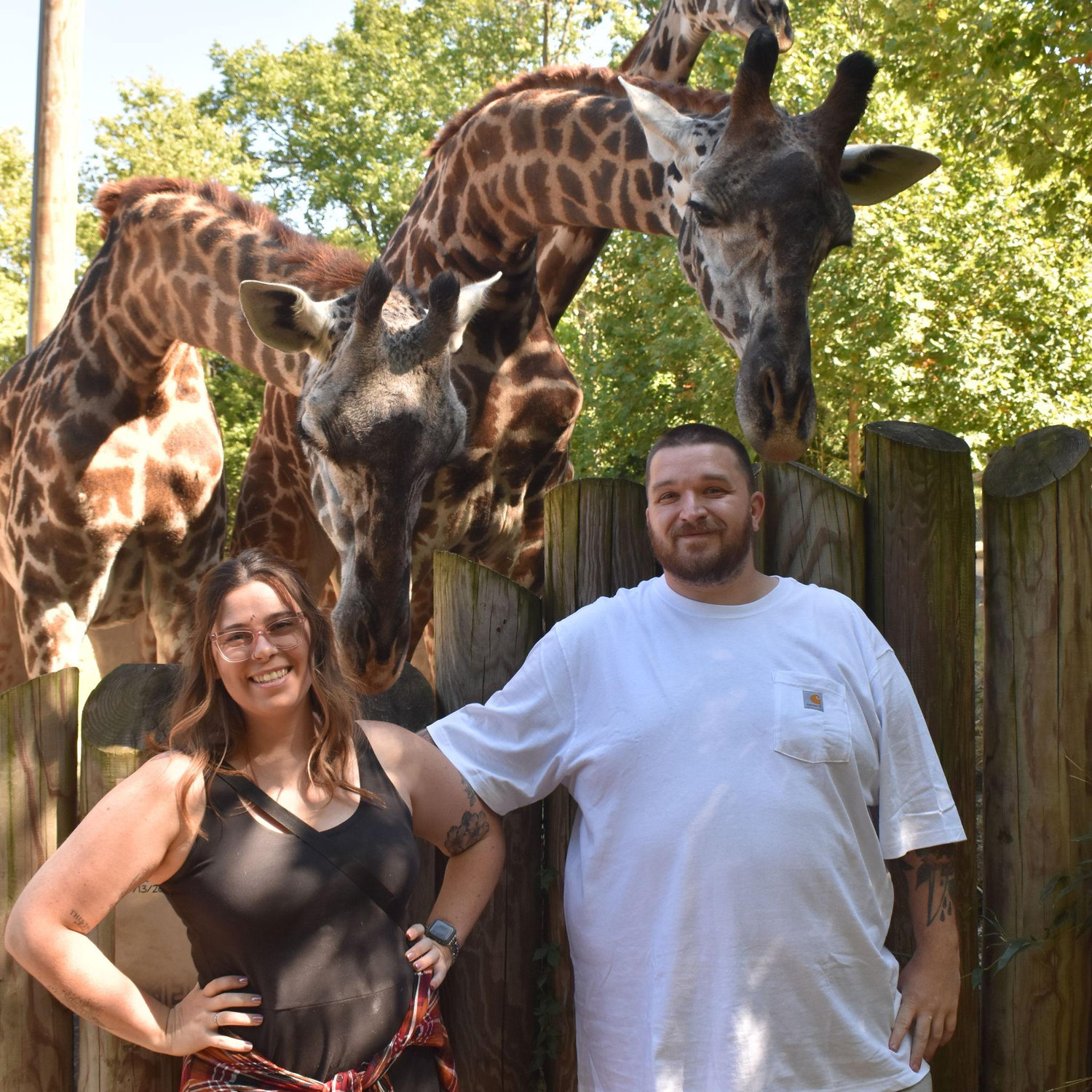 Behind the Scene at the Zoo before getting engaged