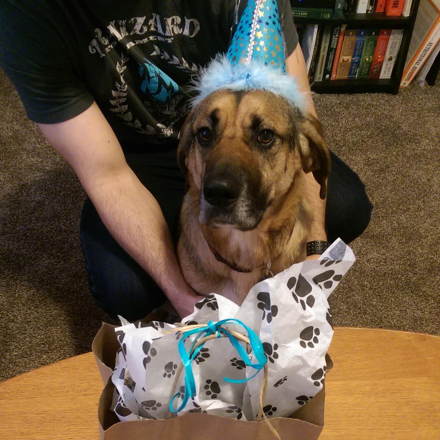 Celebrating our baby boy's birthday
Tacoma, 2015