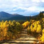Boreas Pass Road