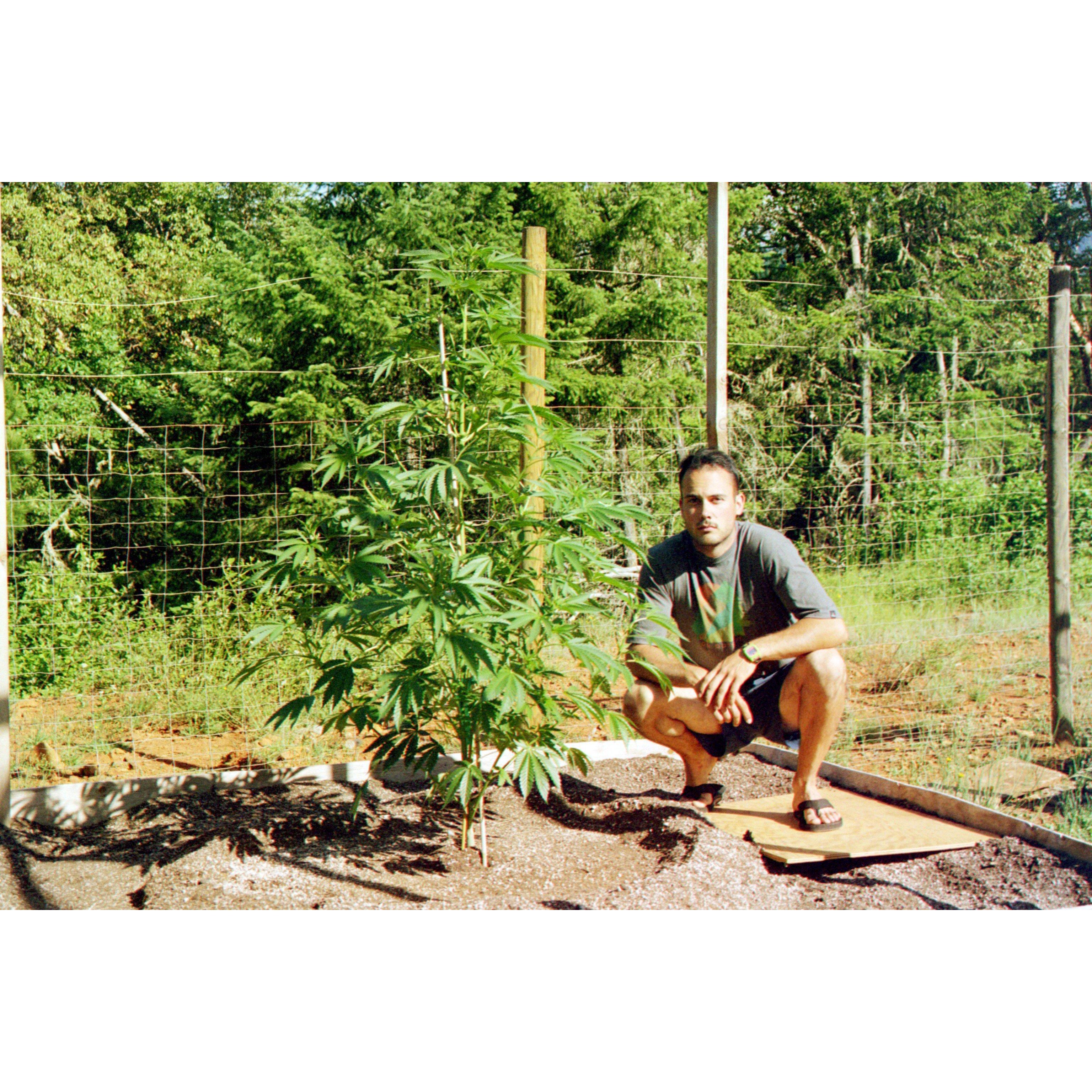 Mr. Farmer