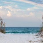 Beach Haven / Surf City