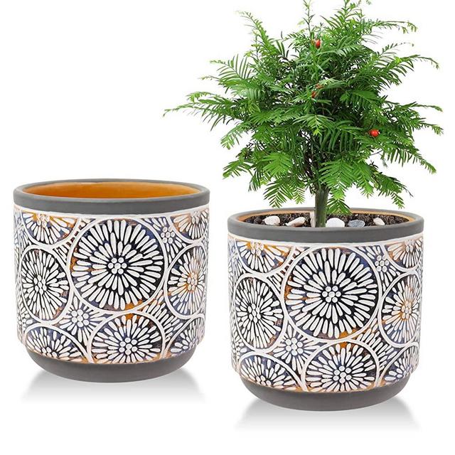 2 Pack Ceramic Plant Pots, Vivimee 5 Inch Flower Pot Set, Planter Set with Drainage Hole for Indoor Plants, Cactus, Succulent, Snake Plants, Bamboo, Clay Pottery Garden Pots for Outdoor Plants