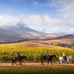 Horseback riding in Winelands