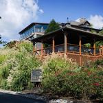 Wolf Mountain Vineyards