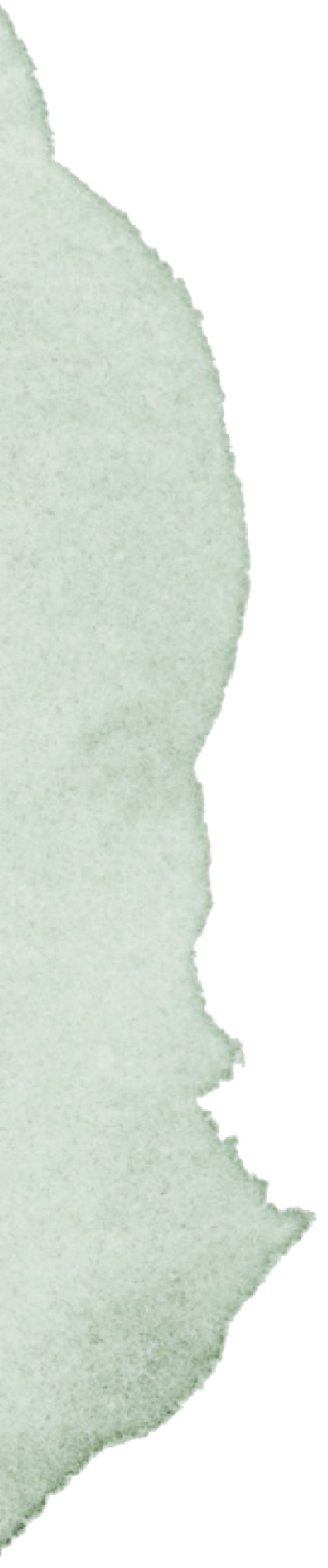 shape