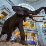Smithsonian Museums