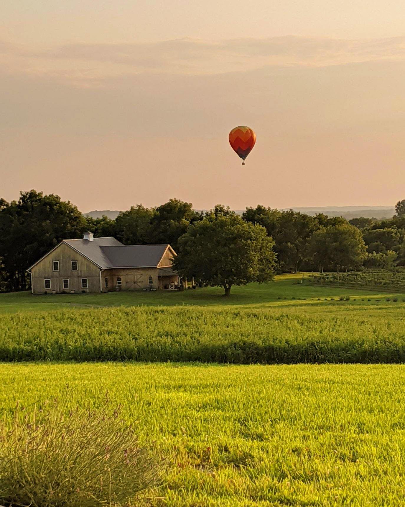 The Wedding Website of Alison Gooley and Evan Lavelle