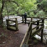Tumbling Waters Trail