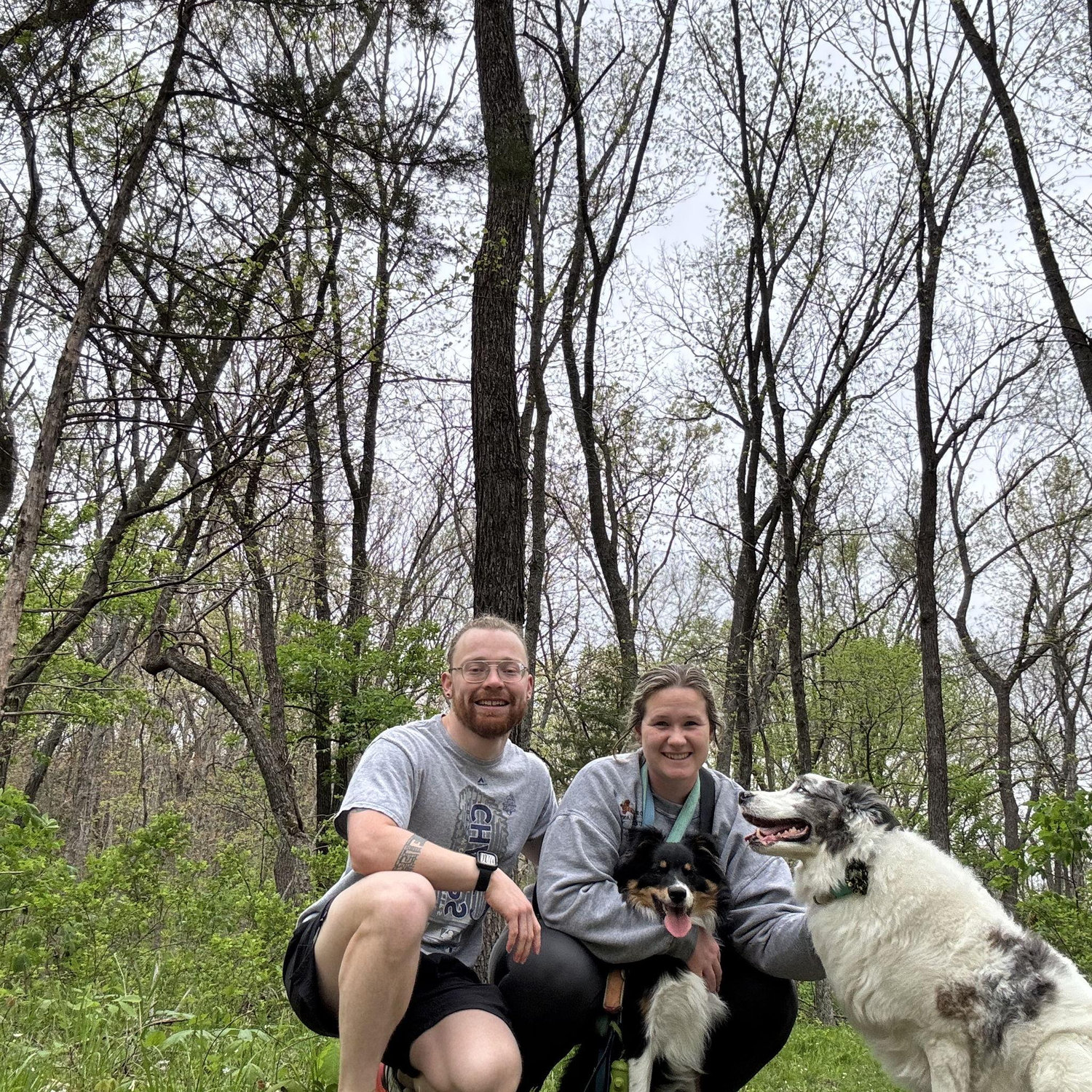 The dogs came back with so many ticks from this hike.