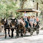 Carriage Tour