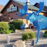 Blue Moose Bar & Grill