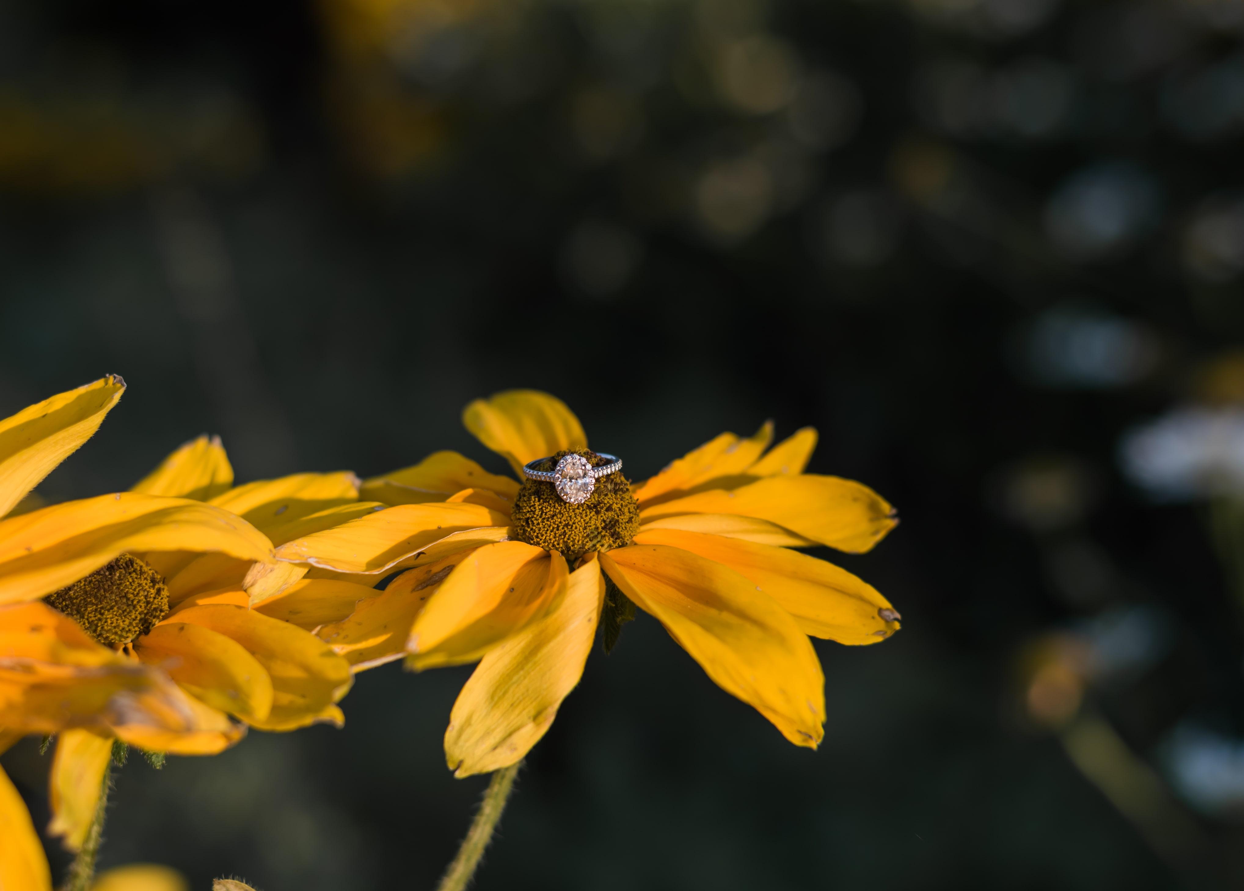 The Wedding Website of Hannah Gunn and Luke Iding