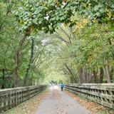 Little Miami Scenic Trail