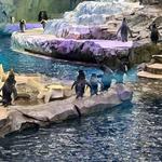 Detroit Zoo