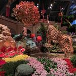 Check out the Chinese new year decorations at the Bellagio