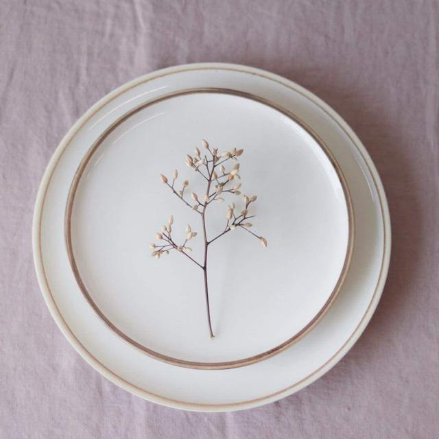 Bisque Edge Dinnerware – Dinner Plate
