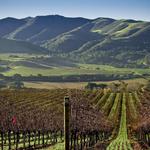 Lompoc Wineries