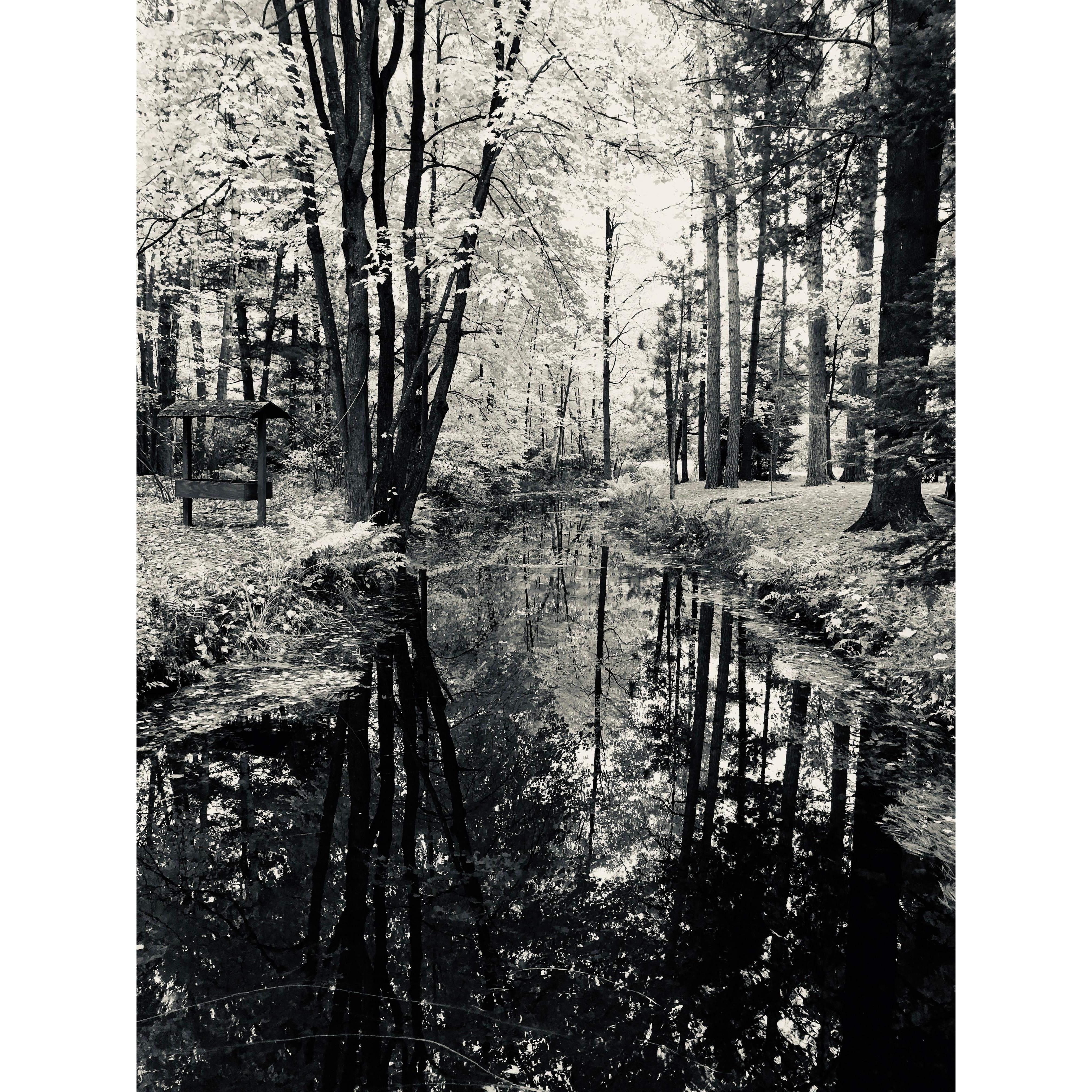 Lake Mohawksin