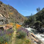 North Fork of the Merced River