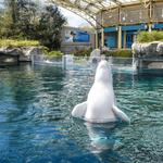 Mystic Aquarium