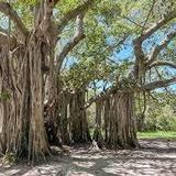 Hugh Taylor Birch State Park