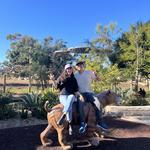 Things to do: San Diego Zoo