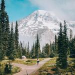 Nisqually Vista Trail