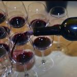 Moncucchetto vineyards