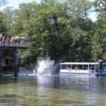 Wakulla Springs