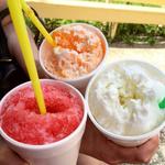 The Snow Cone Lady
