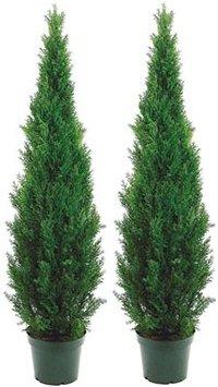 Silk Tree Warehouse Two 5 Foot Outdoor Artificial Cedar Topiary Trees Potted Plants Two Peace Construction