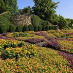 The North Carolina Arboretum
