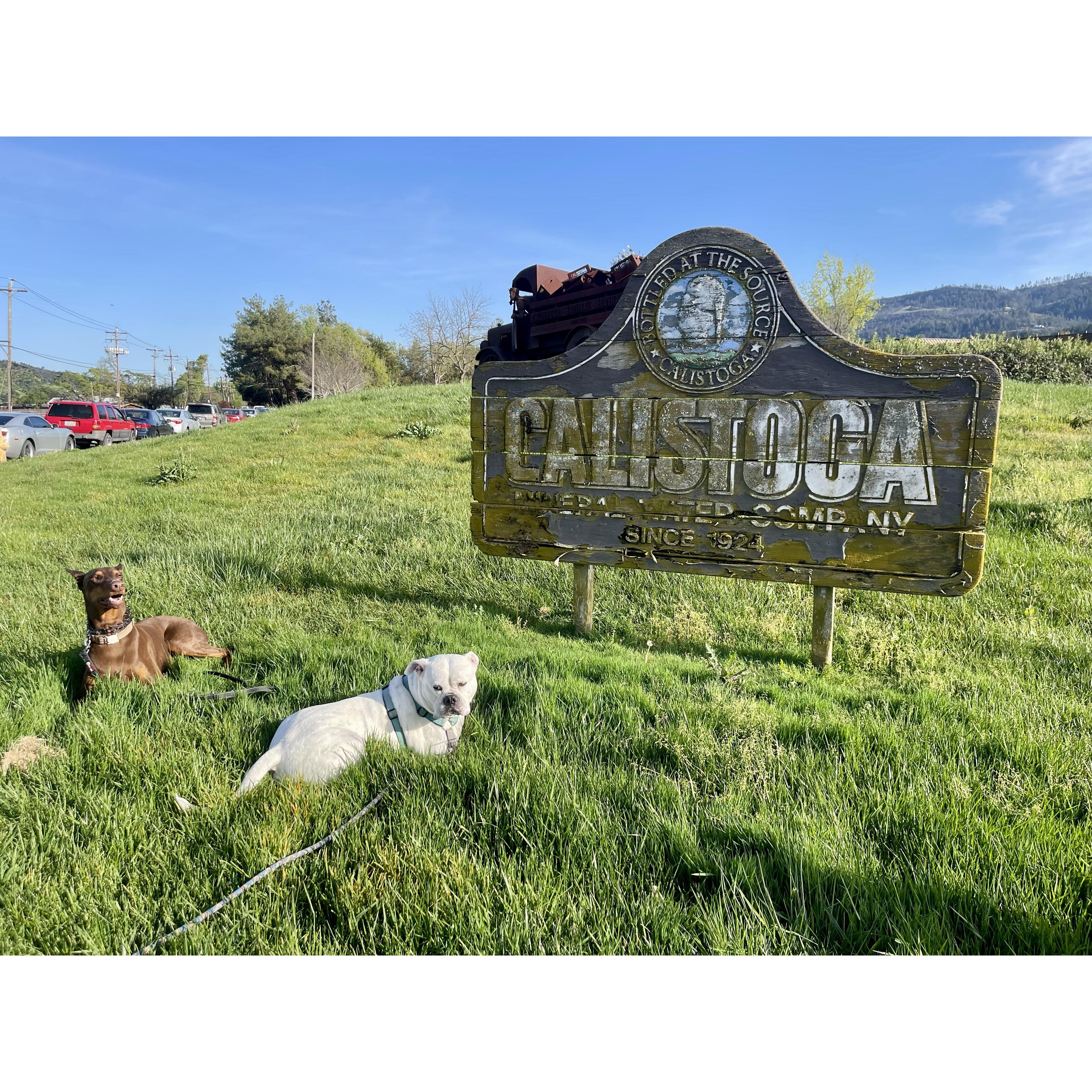 But she still had a great weekend in Calistoga!