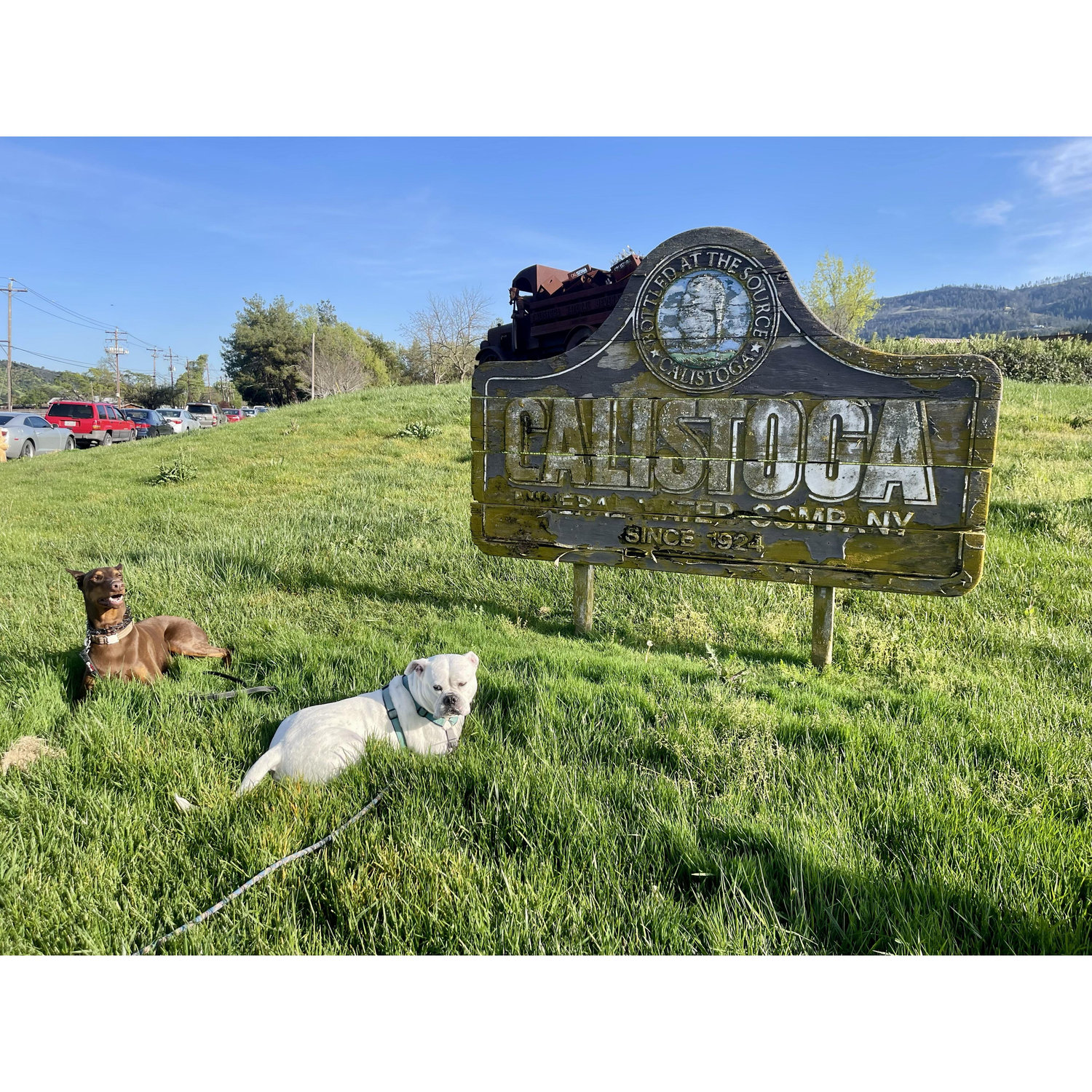 But she still had a great weekend in Calistoga!