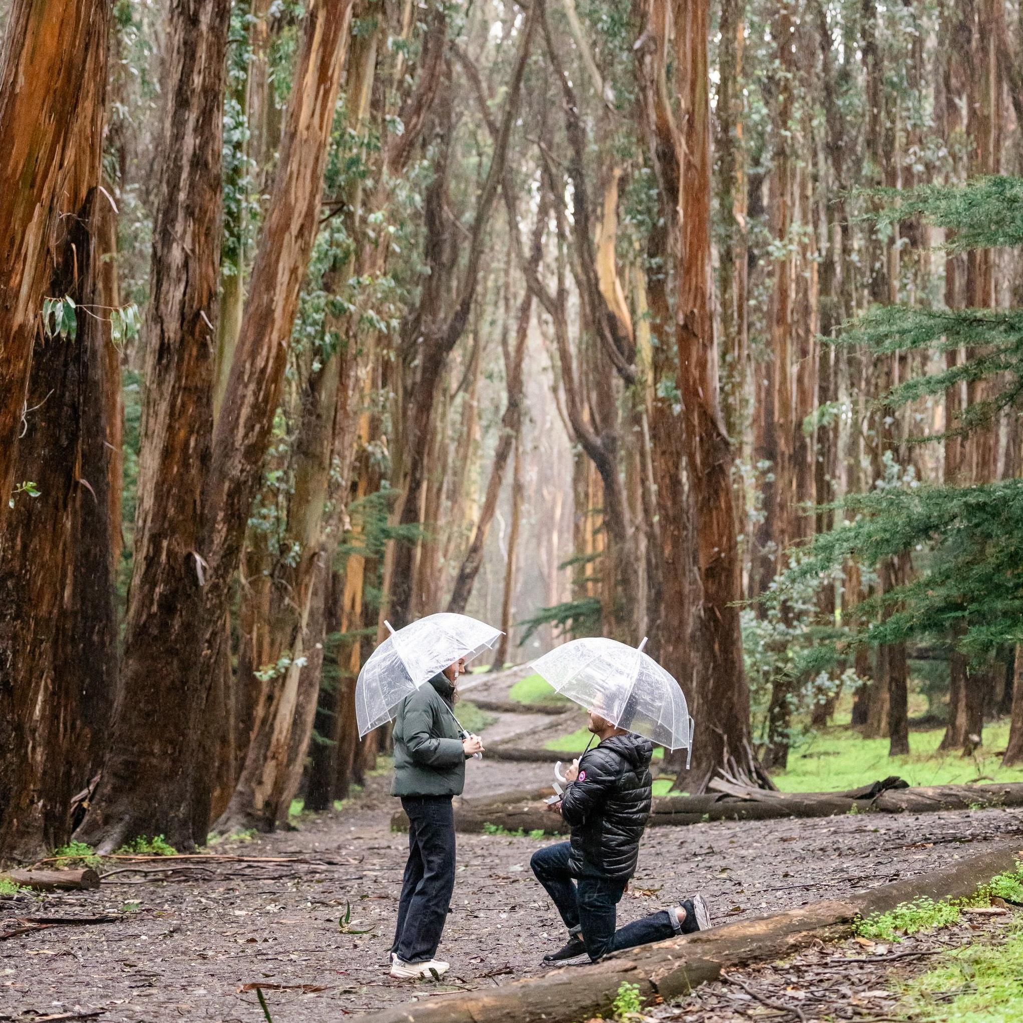 San Francisco, CA ~ Feb 2024