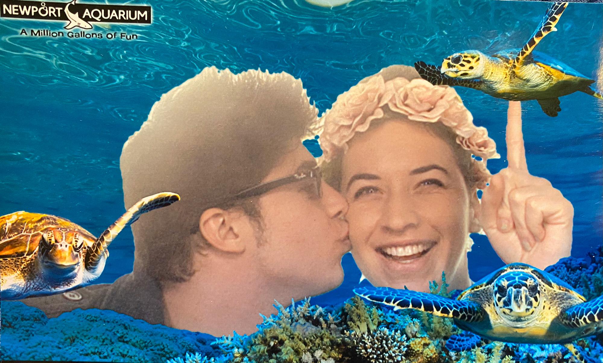 Newport Aquarium, KY 2016