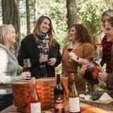 Eleven Winery
