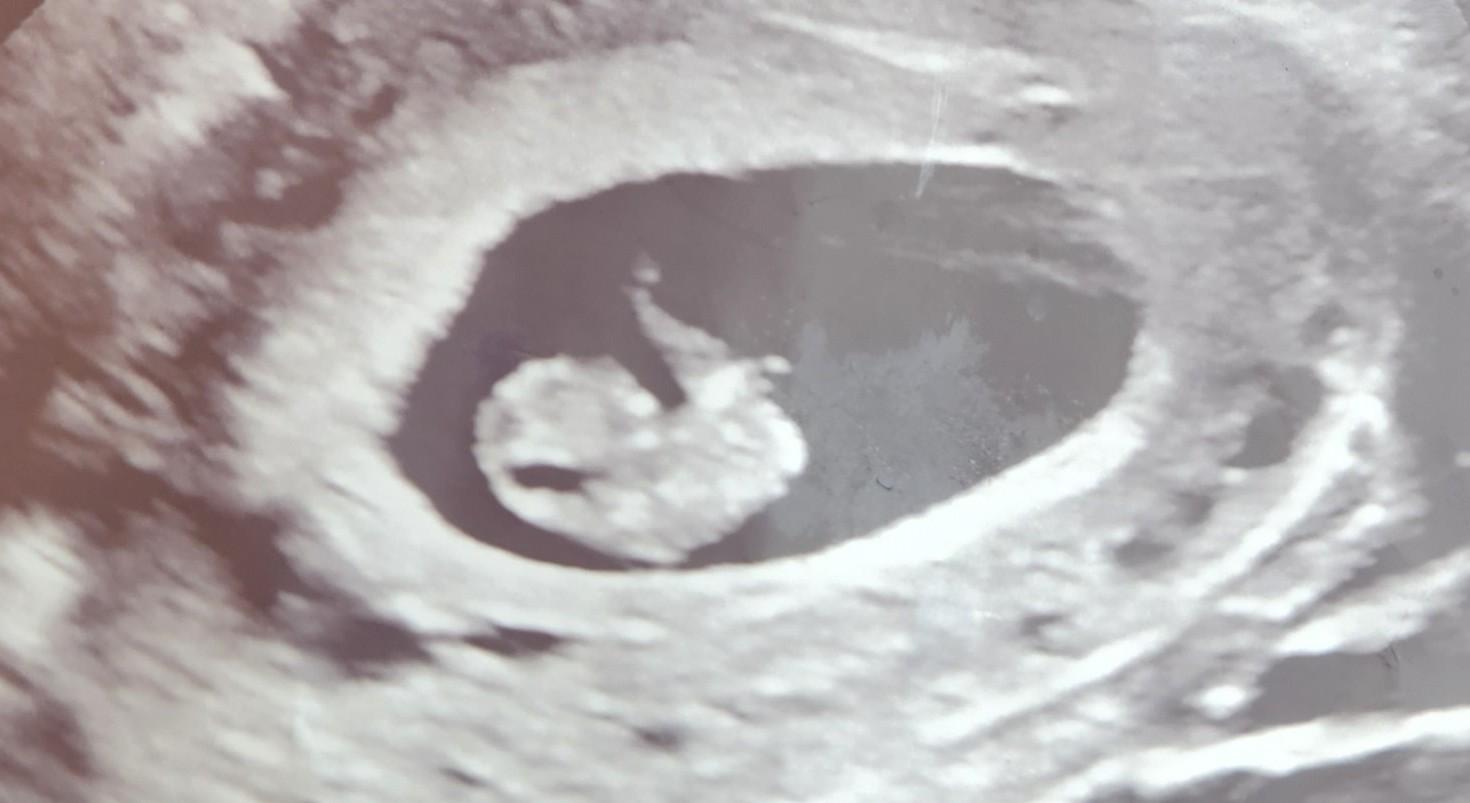 The Wedding Website of Ayleonna Camp and Dexter George Jr