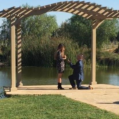 The proposal.