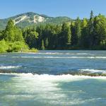 River Tubing or Whitewater rafting!