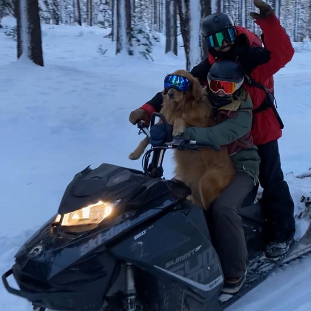 Trevs new turbo snowmobile