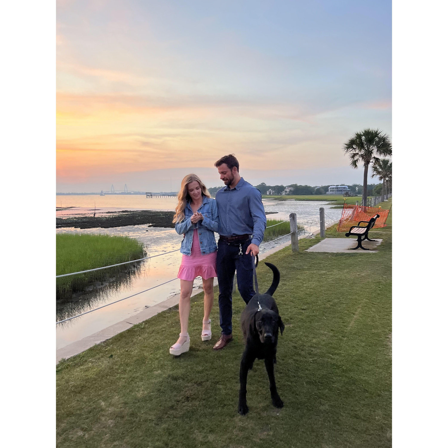 Cricket also was in attendance at the proposal!