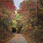 Walk or Bike Down Swamp Rabbit Trail (28-mile Trail through Greenville to Travelers Rest)