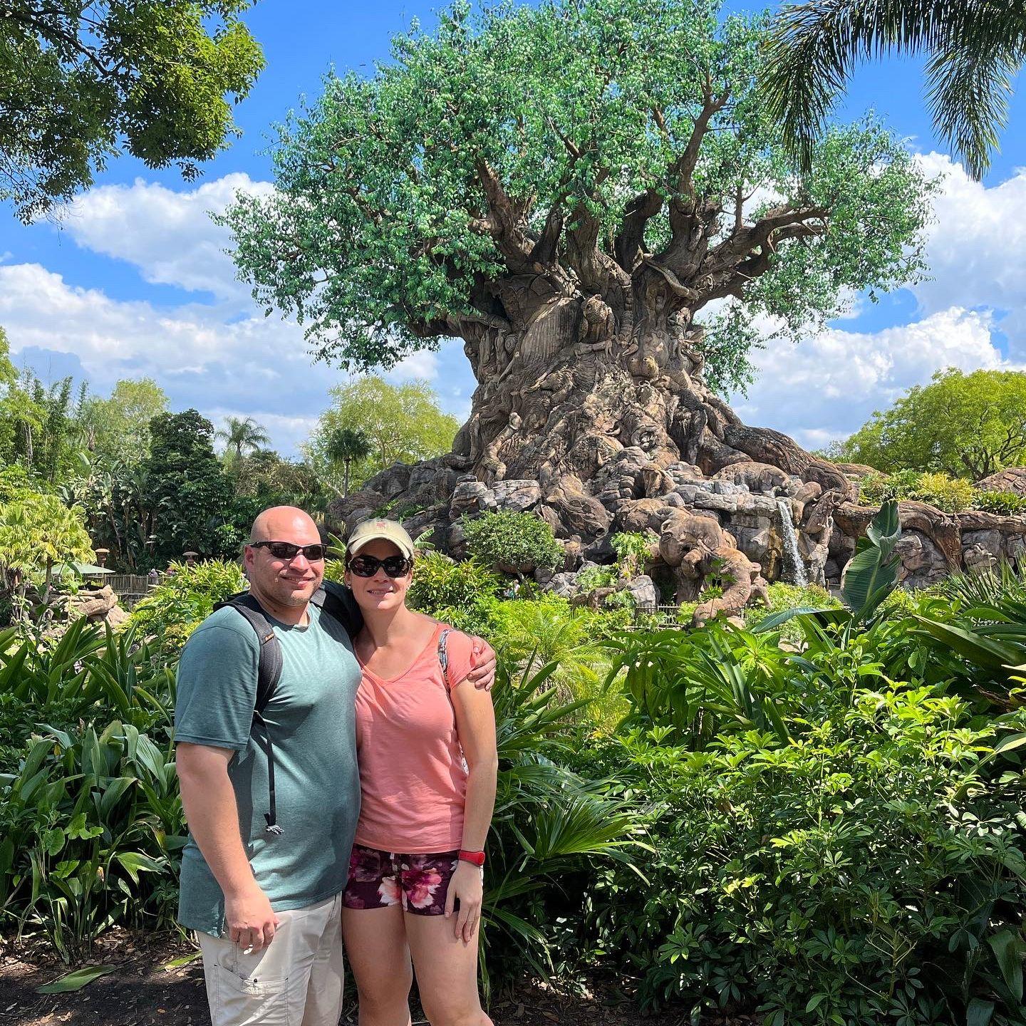 Animal Kingdom