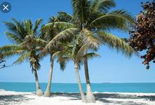 Key West