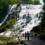 All Things Ithaca