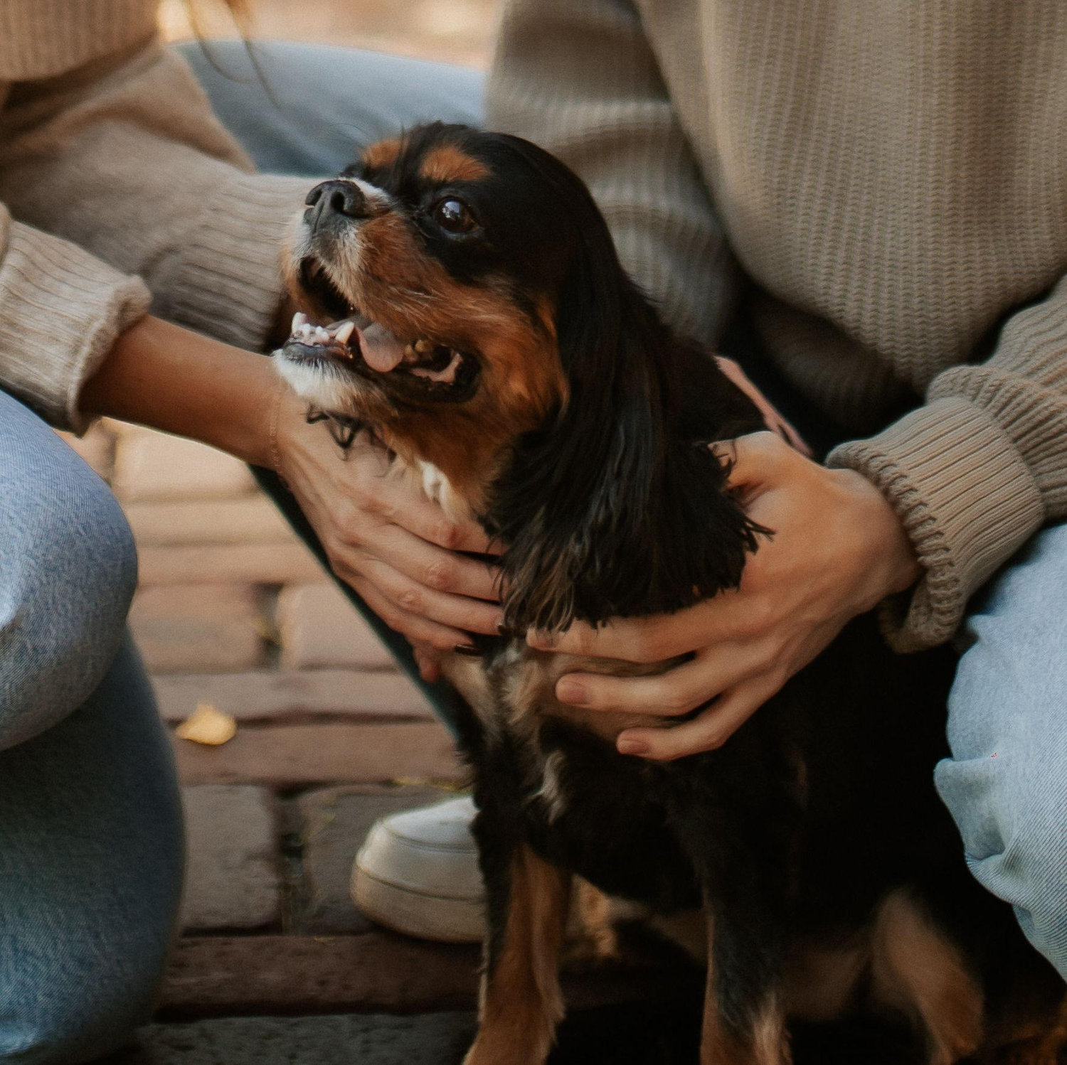 Engagement shoot