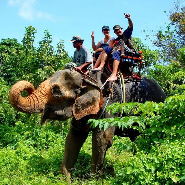 A night at the elephant sanctuary